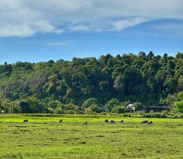 Pantai Tengah Villa | Villa Meranti - Spacious Private Pool Villa