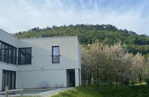 Rukavac Villa | Villa Mi, Rukavac Opatija Riviera