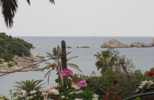 Babin Kuk Apartment | Villa Miomir