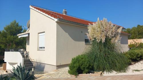 Pridraga Villa | Villa Mir Pridraga
