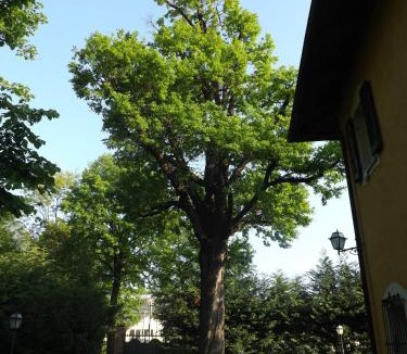 Piossasco Bed & Breakfast | Villa Mirano Bed & Breakfast