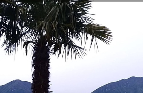 Bigogno Villa | Villa Morcote