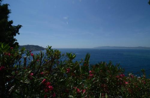 L'Estartit House | Villa Narcol