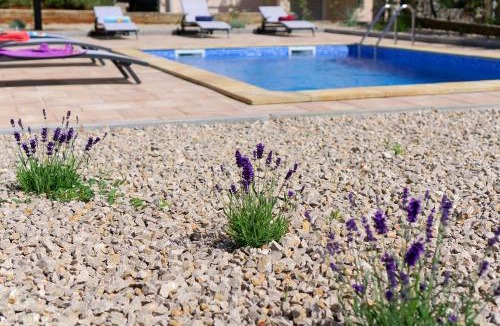 Vantacici Villa | Villa Nerium