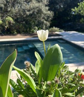 Caremeau Bed & Breakfast | Villa Nimes