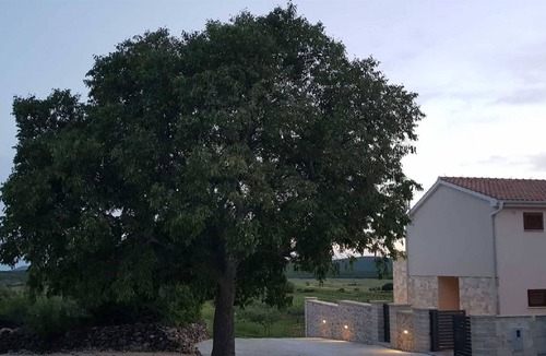 Stankovci Villa | Villa Oasis with swimming pool