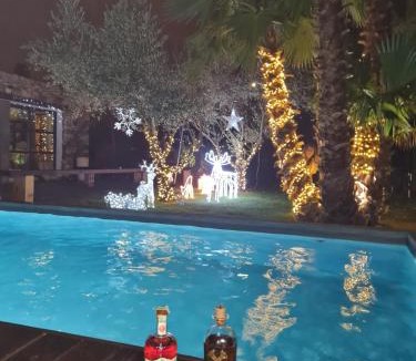 Langlade Villa | VILLA OLIVA JACUZZI SAUNA BILLARD PISCINE chauffée