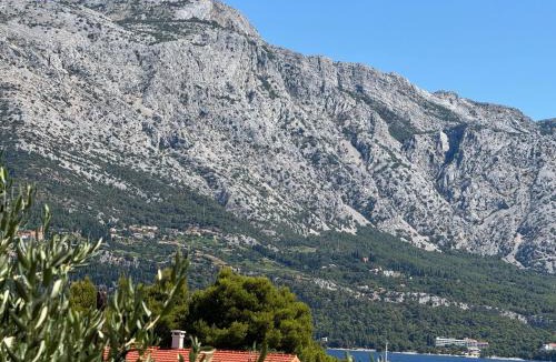 Cove Tri Zala (Zrnovo) Apartment | Villa Oliva Korcula
