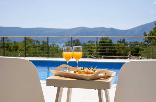 Brzac Villa | Villa Olive Garden with Pool & Seaview