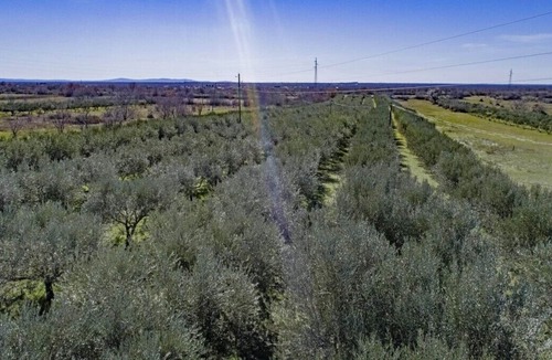 Oklaj Villa | Villa Olive in Ljubotić - Haus für 8-9 Personen