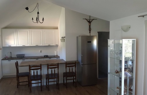 Cove Osibova (Milna) Villa | villa olives