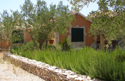 Cove Osibova (Milna) Villa | villa olives