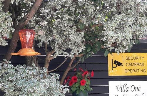 Palmerston North Apartment | Villa One on Fitzherbert