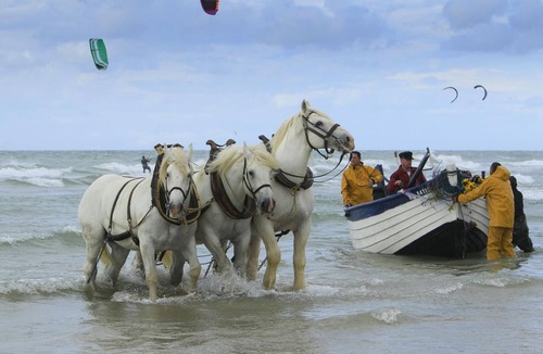 Ambleteuse Apartment | VILLA OPALE, NACRE - AMBLETEUSE