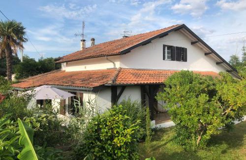 Leon Apartment | Villa Orcas