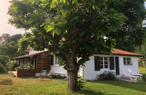 Leon Apartment | Villa Orcas