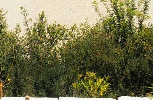 Combaillaux Villa | Villa Orianne - Traditional villa with pool with stunning views