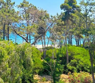 Aleria Villa | Villa Padulone