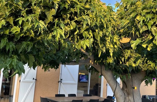 Elne House | Villa Paradis
