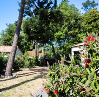 Bretignolles-sur-Mer Villa | Villa Pinède Private Spa Nature & Beach Sleeps 8 in Brétignolles