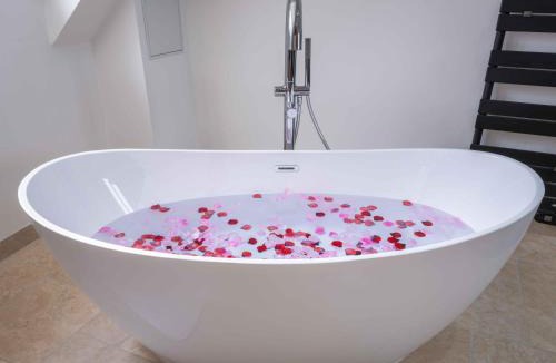 Ver-sur-Launette Villa | Villa Prestige avec Spa et jeux