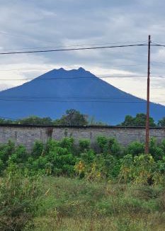 Kalipuro Villa | Villa puncak Terang