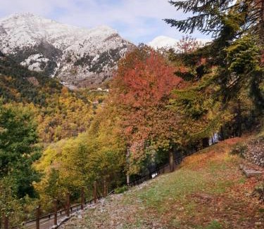 Saint-Martin-Vesubie Apartment | villa pura vida