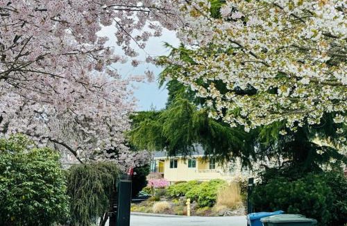 The Bowl of Edmonds House | Villa Rivarola