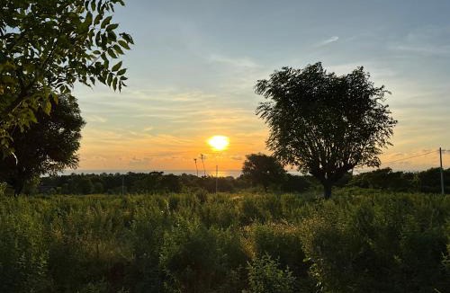 Abang Villa | Villa Rosa East Bali