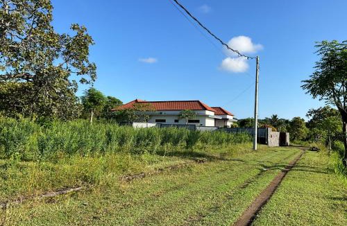 Abang Villa | Villa Rosa East Bali