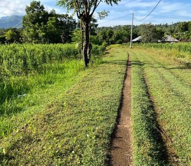 Abang Villa | Villa Rosa East Bali