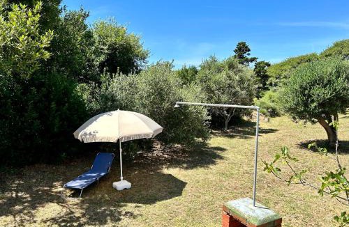 Povljana Apartment | Villa Roseal