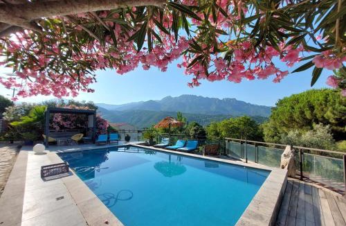 Vero House | Villa rundinella