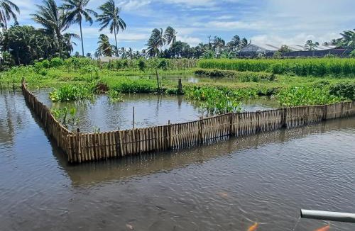 Kecamatan Pringgasela House | Villa's Ilham