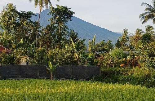 Kecamatan Pringgasela House | Villa's Ilham