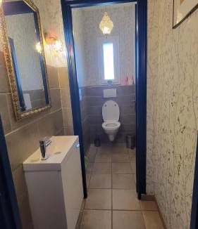 Saint-Cyr-en-Val Villa | Villa Sana