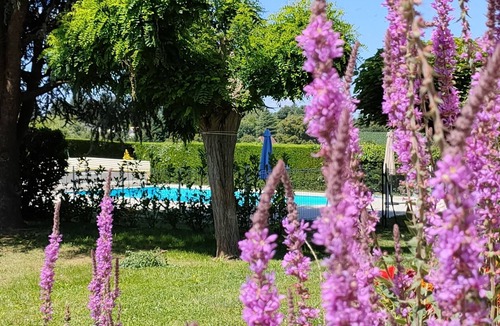 Sarlat-la-Caneda Villa | Villa Sarladaise la Salamandre with private pool