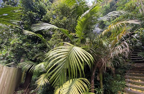 St. Mary's Bay House | Villa Serene Retreat