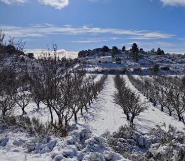 Puebla de Don Fadrique Ski Chalet | Villa Socorrito