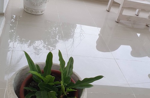 Sabana Palenque Villa | Villa Sonia