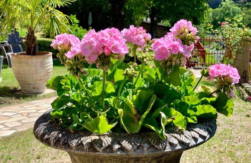 Saint-Nectaire Bed & Breakfast | Villa St. Hubert