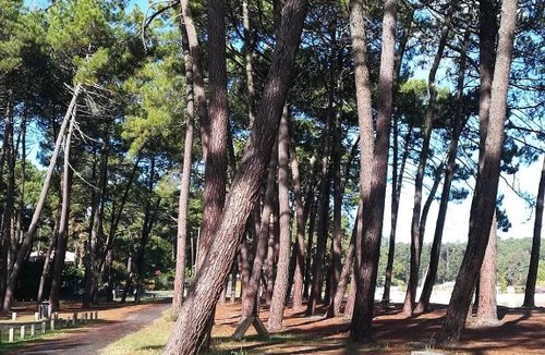 Biscarrosse Villa | Villa Swimming Pool