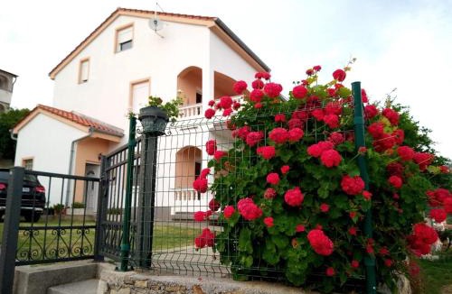 Palit Apartment | Villa Tatjana, Rab