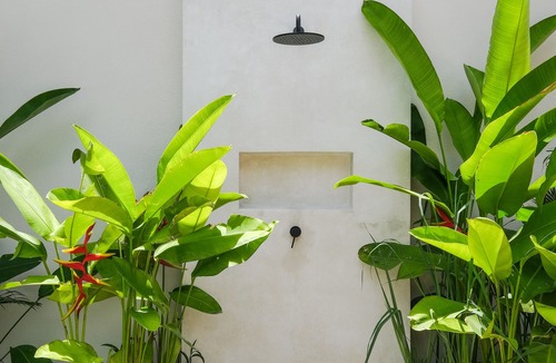 Pererenan Villa | Villa Tortuga