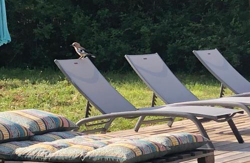 Prayssac Villa | Villa tout confort avec piscine