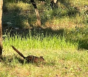 Prayssac Villa | Villa tout confort avec piscine