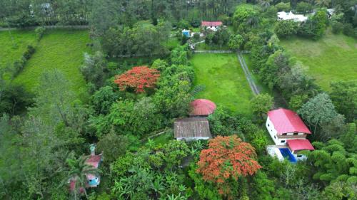 La Vega Province Villa | Villa unter Palmen