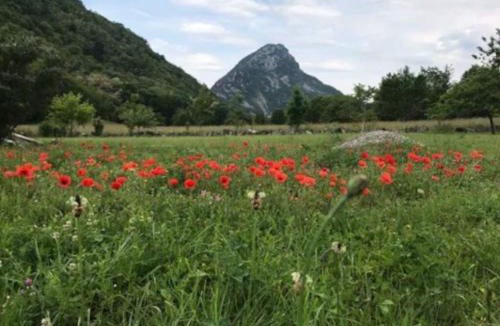 Bompas House | VILLA VACANCES NEUVE