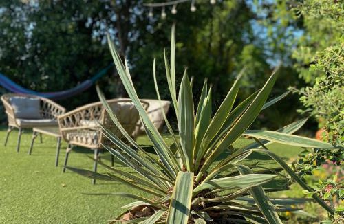 Villeneuve-les-Bouloc Bed & Breakfast | Villa Verano