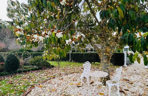 Katikati Villa | Villa Vie